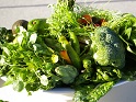 Green Vegetables May Help Prevent Type 2 Diabetes